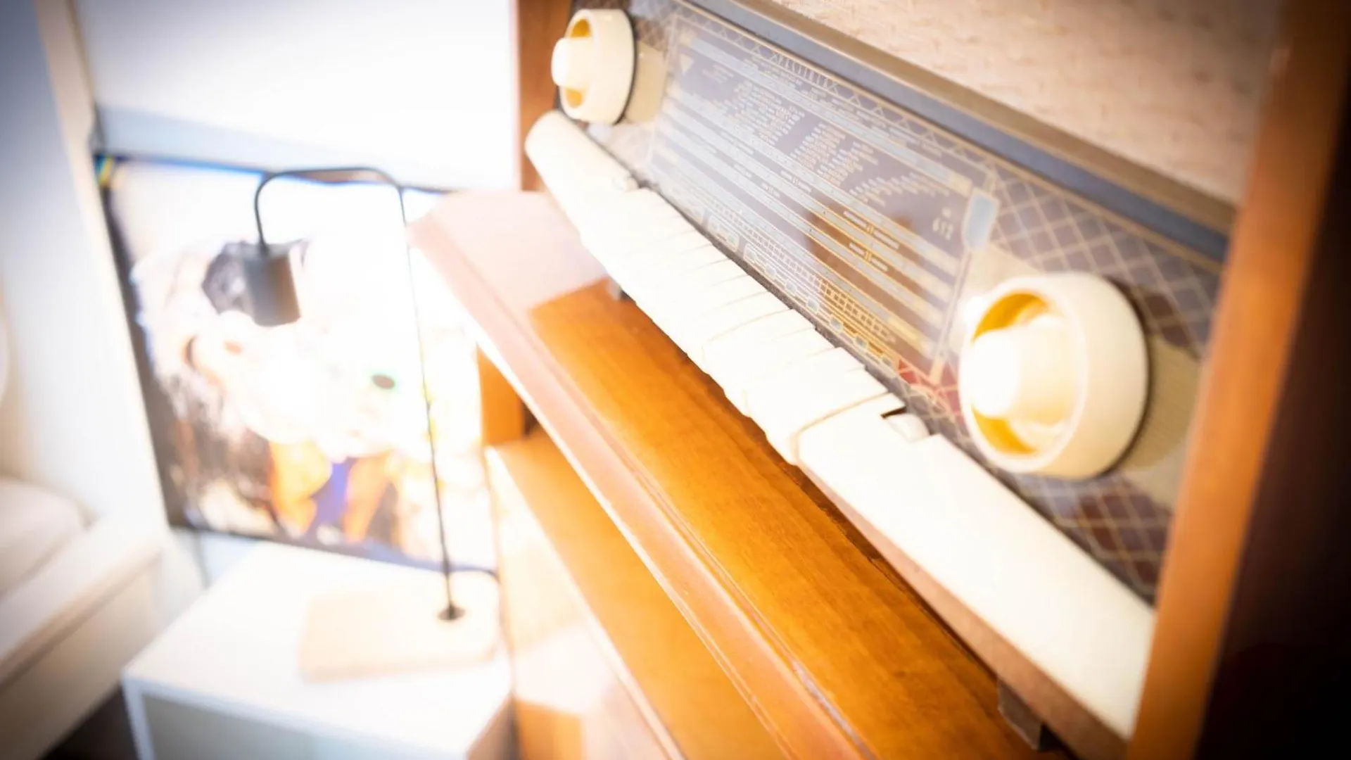 Vintage Studio Budapeşte Daire